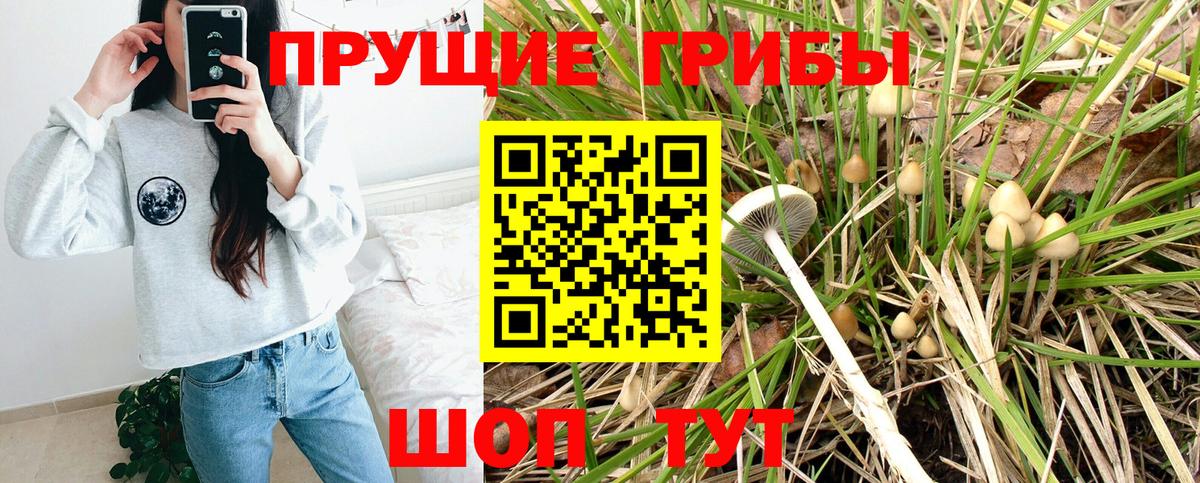Галлюциногенные грибы Magic Shrooms Зима