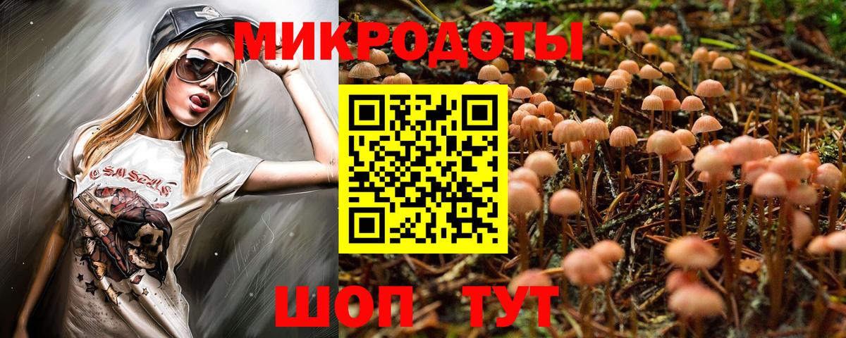 Зима  Псилоцибиновые грибы Psilocybine cubensis  Вход с VPN  Галлюциногенные грибы мицелий 